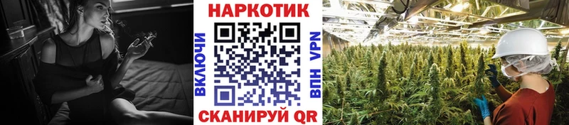 Купить наркотики сайты Петропавловск-Камчатский Гашиш  Амфетамин  Меф мяу мяу  Псилоцибиновые грибы  Cocaine 