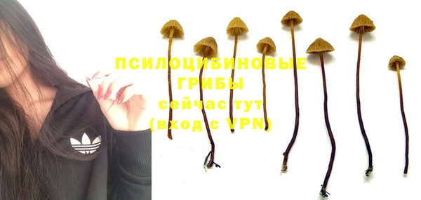 дживик Алзамай