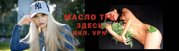 прущие грибы Аркадак