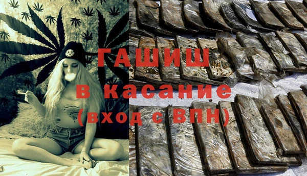 прущие грибы Аркадак