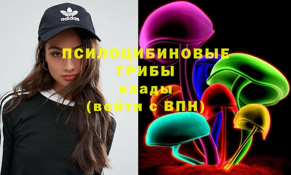 прущие грибы Аркадак